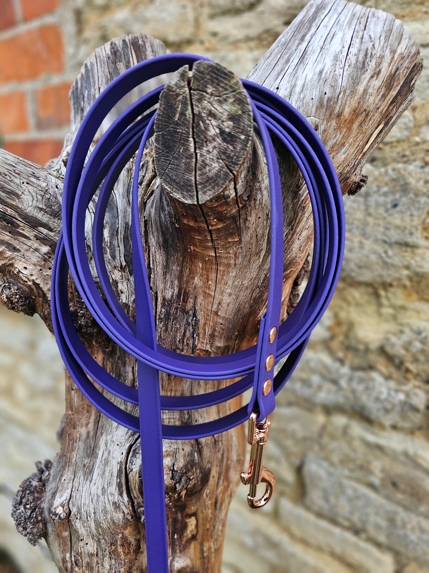 Purple - Waterproof BioThane© Dog Long Line Lead