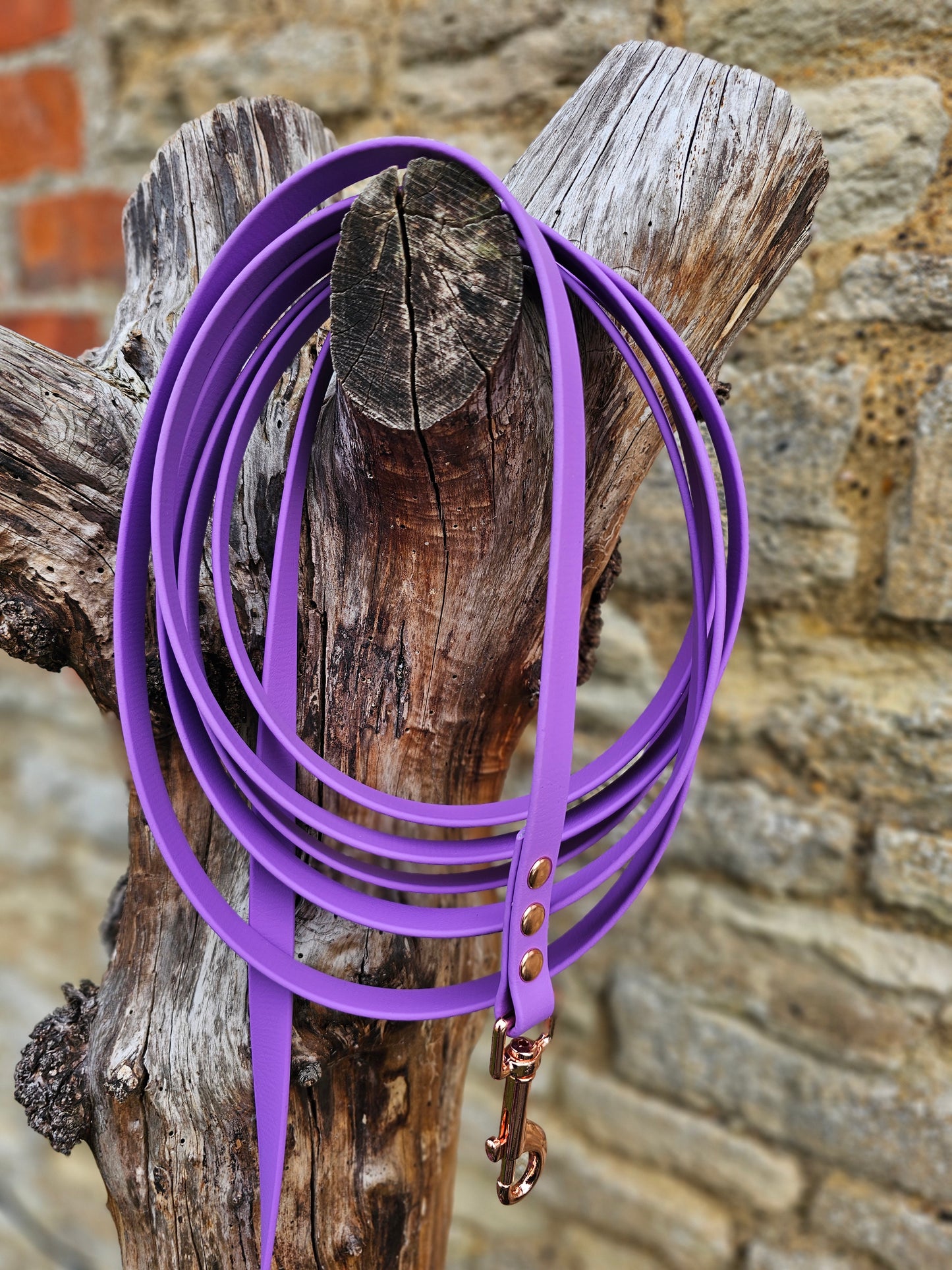 Amethyst - Waterproof BioThane© Dog Long Line Lead