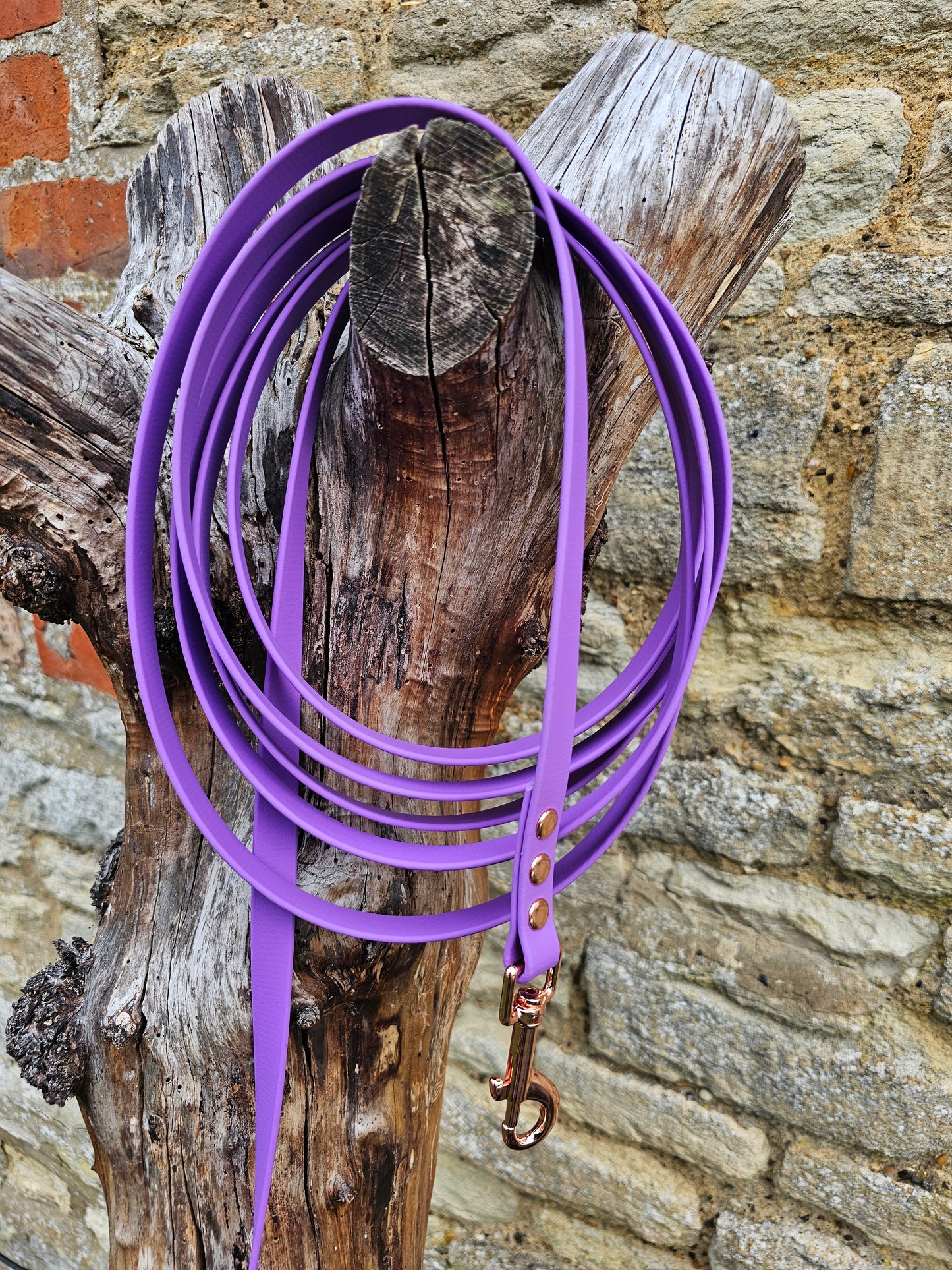 Amethyst - Waterproof BioThane© Dog Long Line Lead