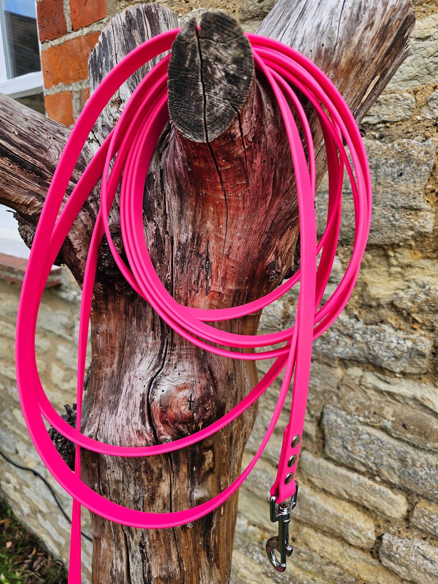 Passion Pink - Waterproof BioThane© Dog Long Line Lead