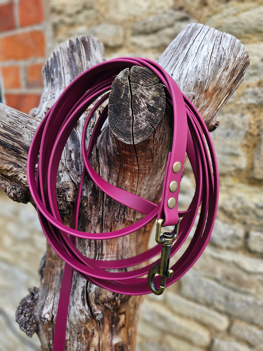 Burgundy - Waterproof BioThane© Dog Long Line Lead