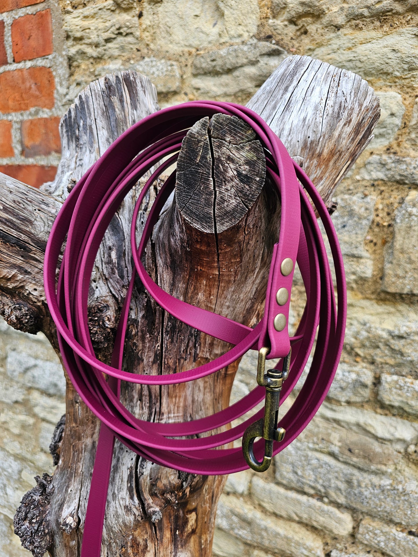 Burgundy - Waterproof BioThane© Dog Long Line Lead