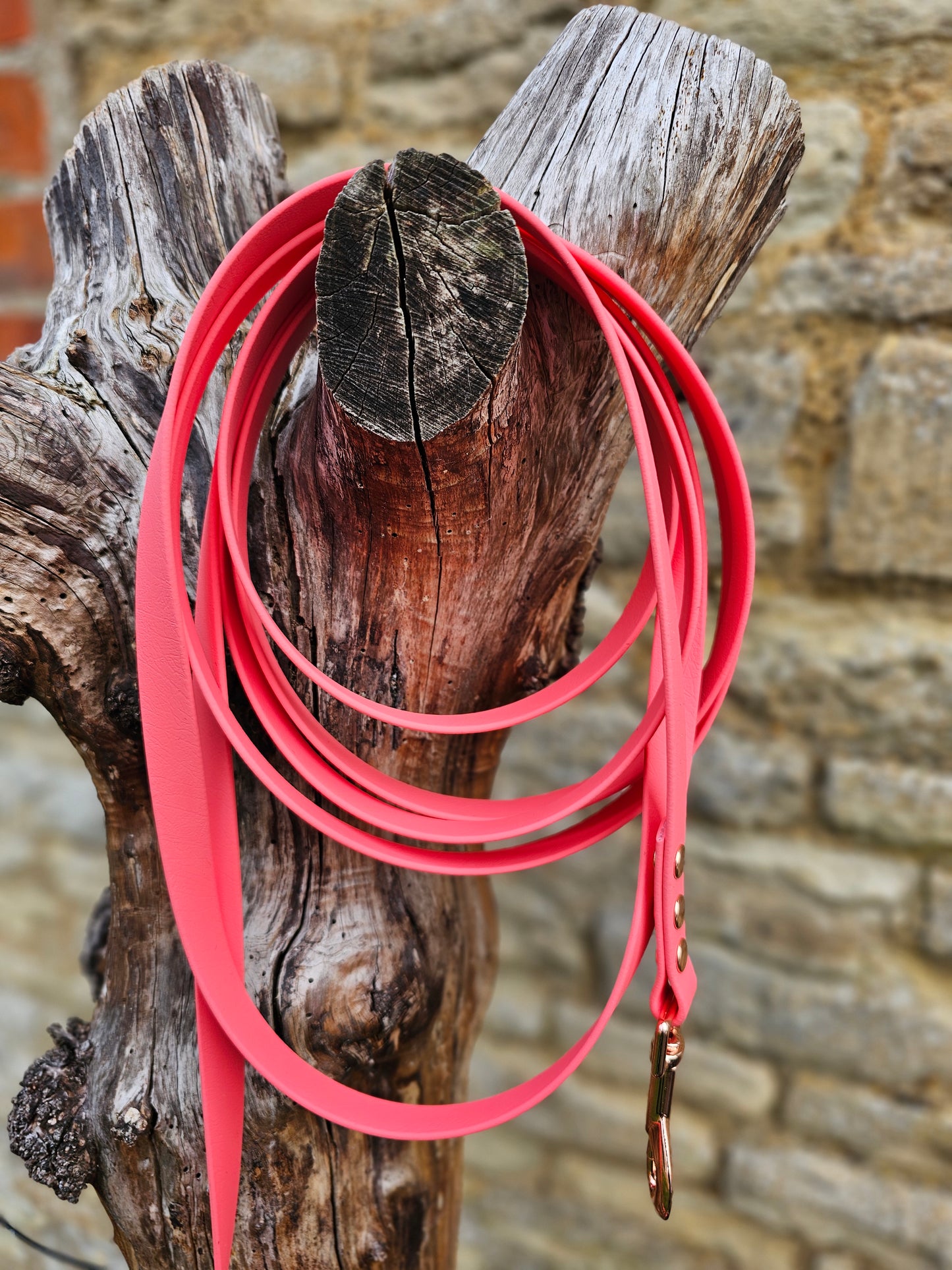 Coral - Waterproof BioThane© Dog Long Line Lead