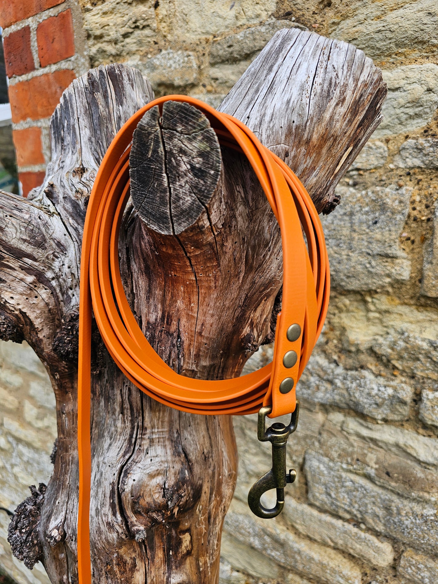 Burnt Orange - Waterproof BioThane© Dog Long Line Lead