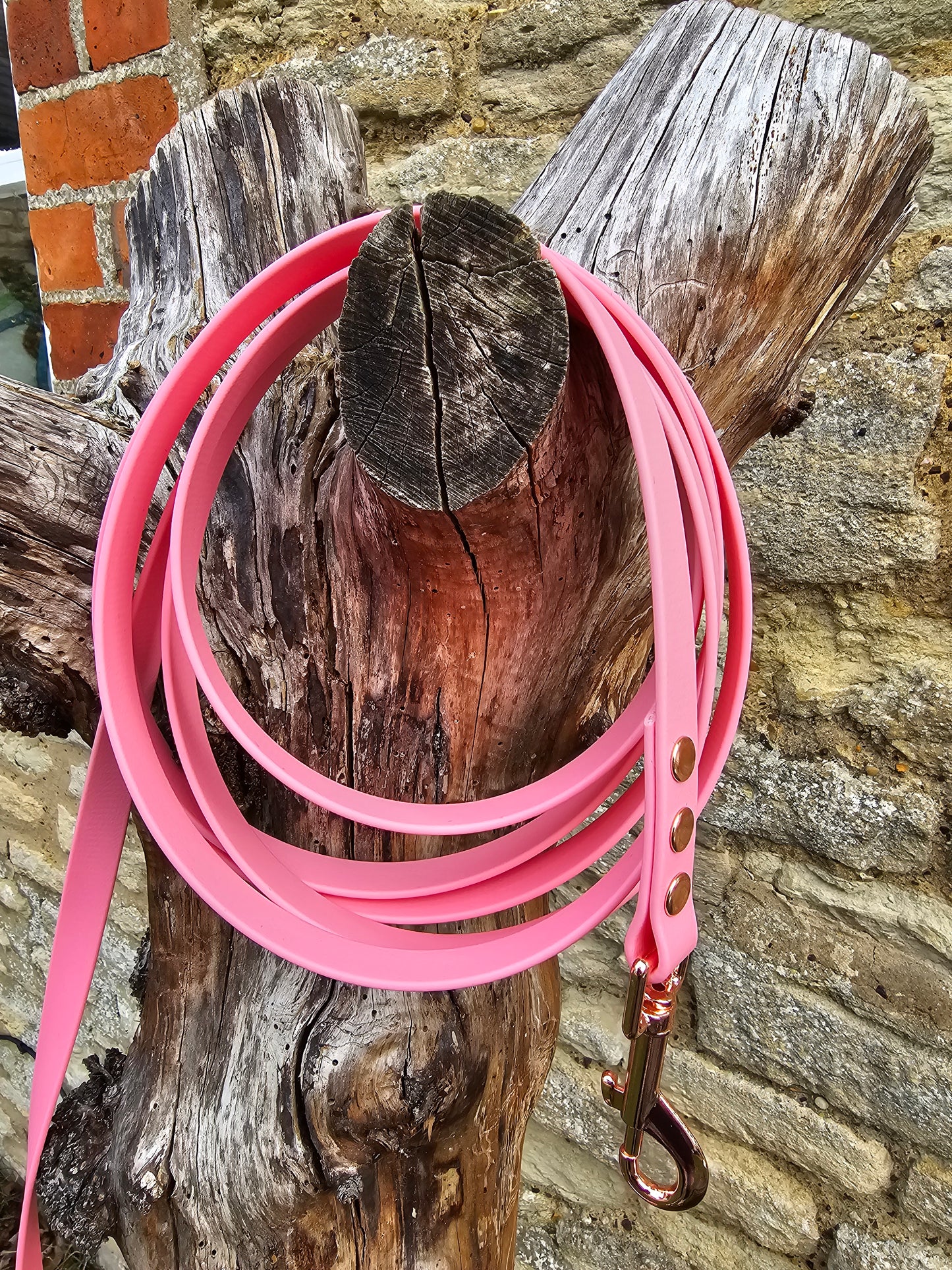 Baby Pink - Waterproof BioThane© Dog Long Line Lead
