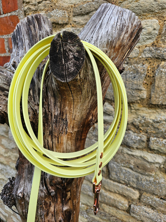 Lemon - Waterproof BioThane© Dog Long Line Lead