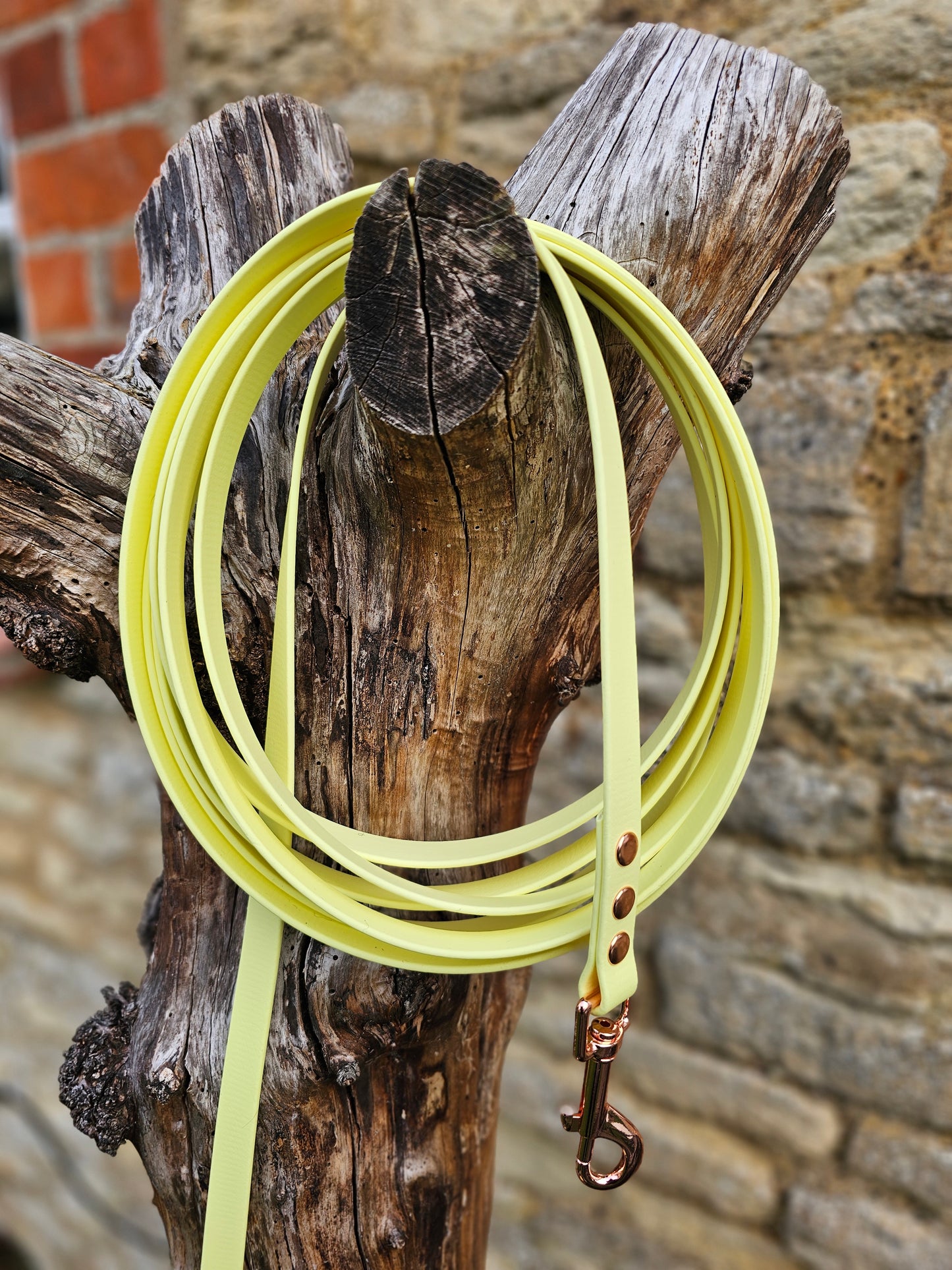 Lemon - Waterproof BioThane© Dog Long Line Lead