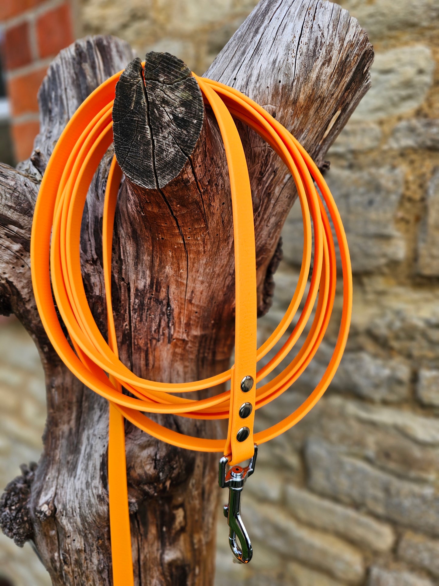Orange - Waterproof BioThane© Dog Long Line Lead
