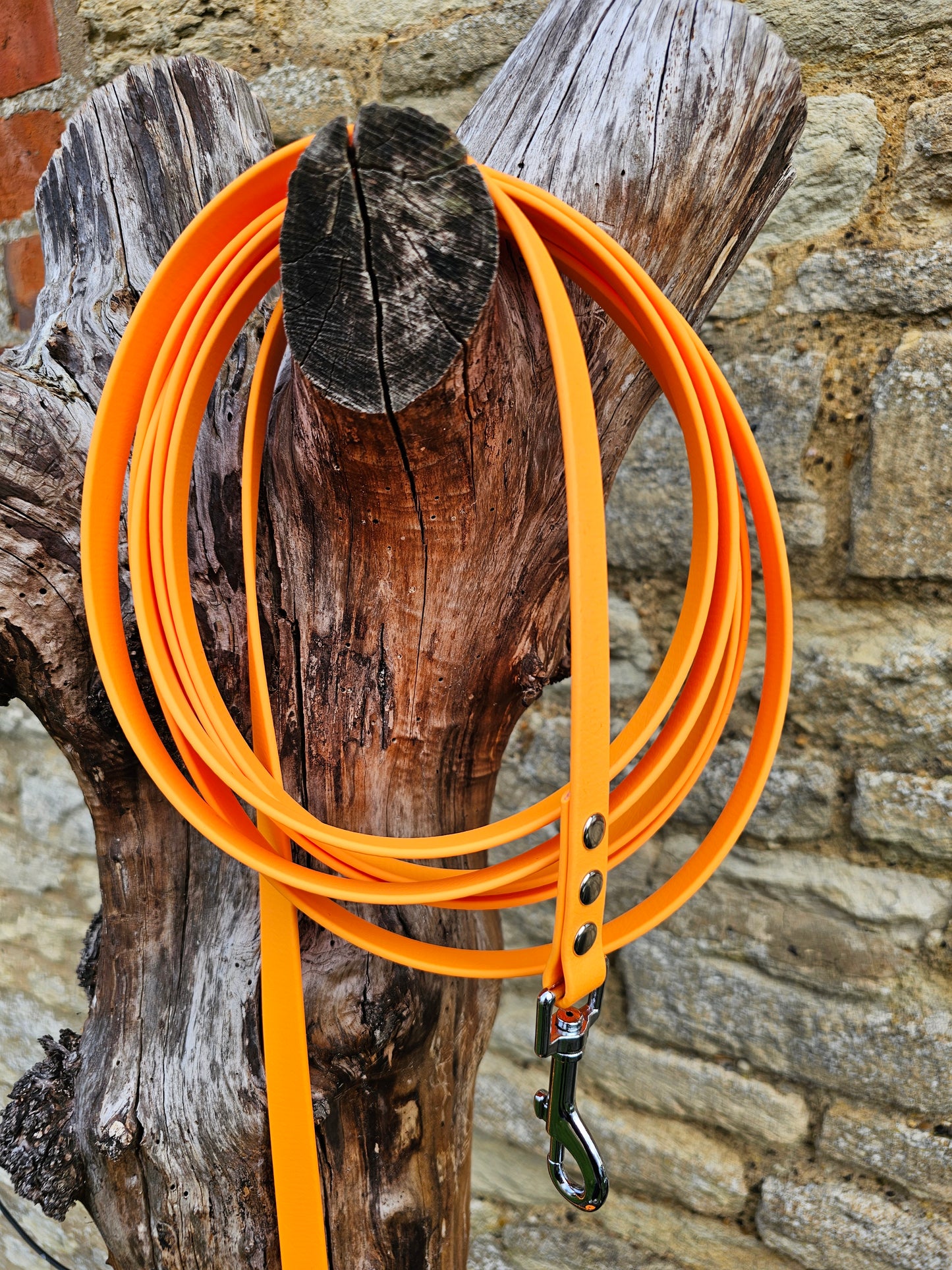 Orange - Waterproof BioThane© Dog Long Line Lead