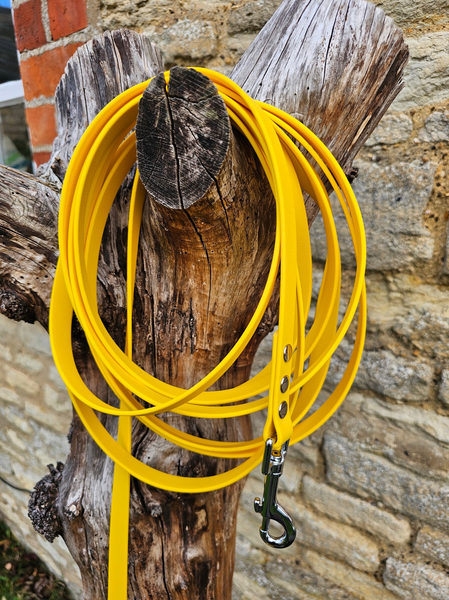 Yellow - Waterproof BioThane© Dog Long Line Lead
