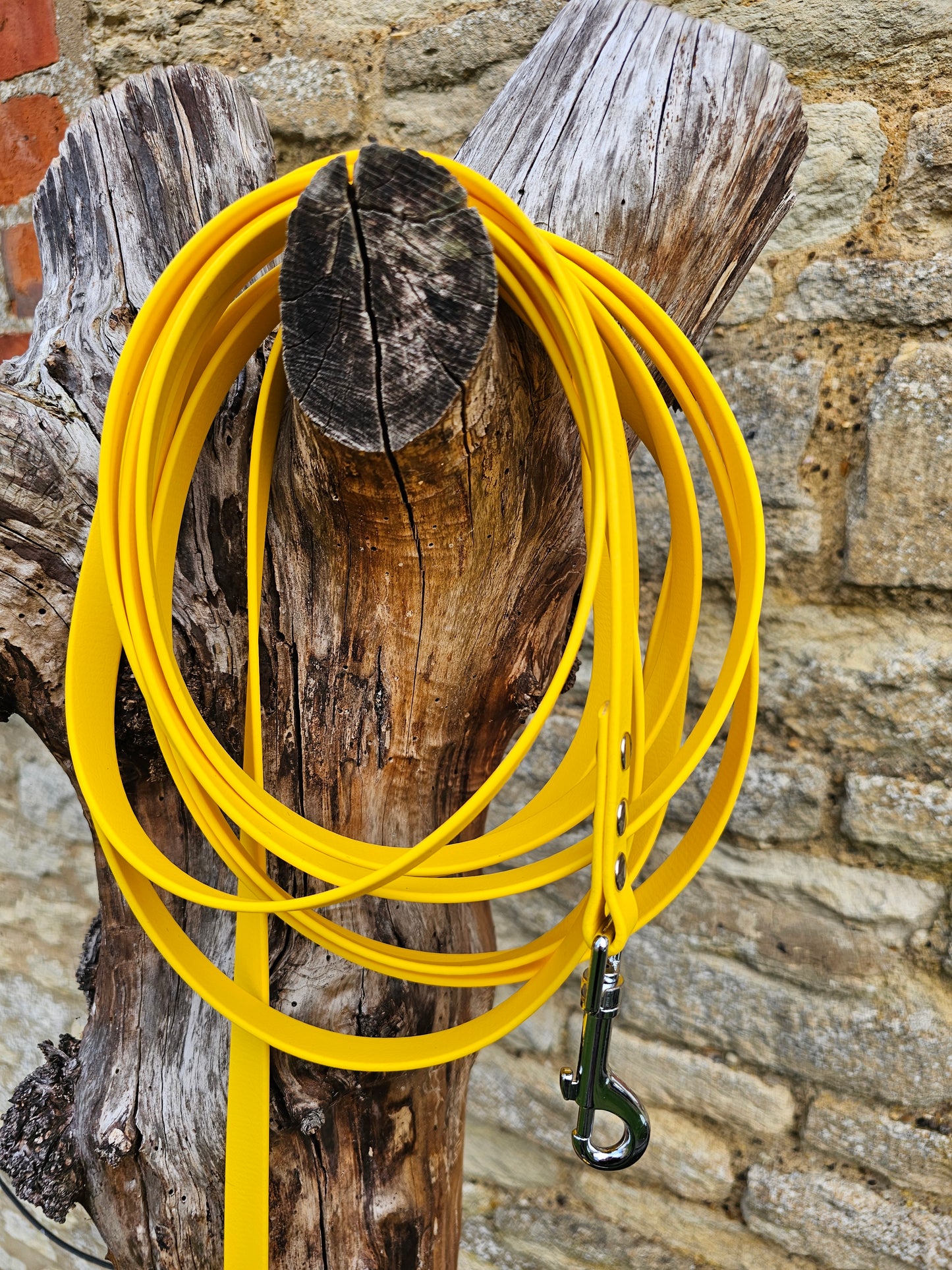 Yellow - Waterproof BioThane© Dog Long Line Lead