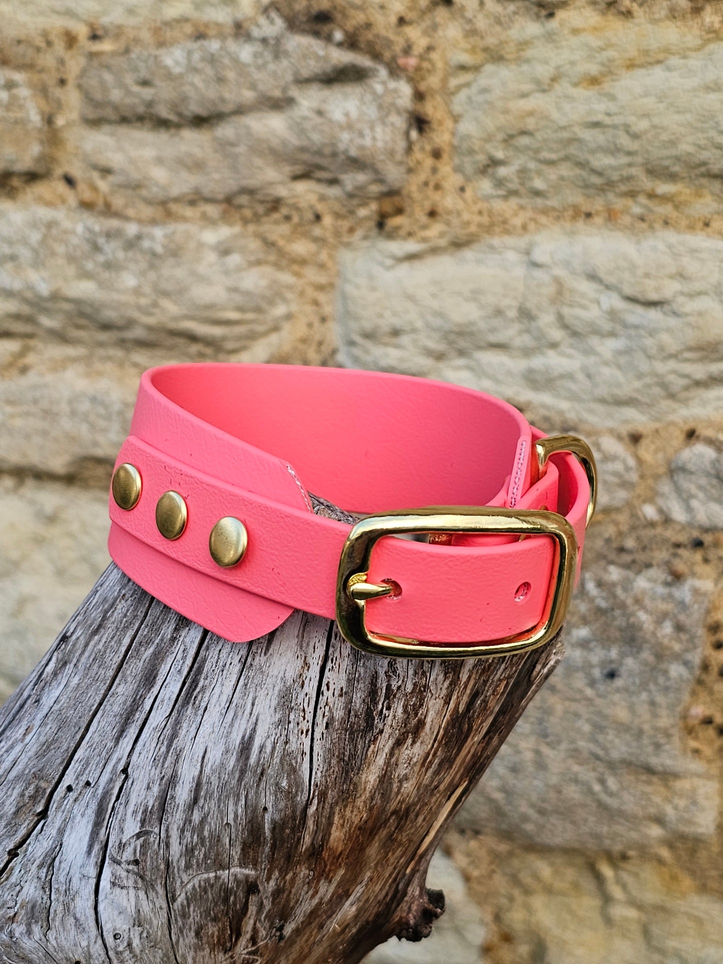 Coral - Waterproof BioThane® Sighthound Collar / wide-fit Dog Collar