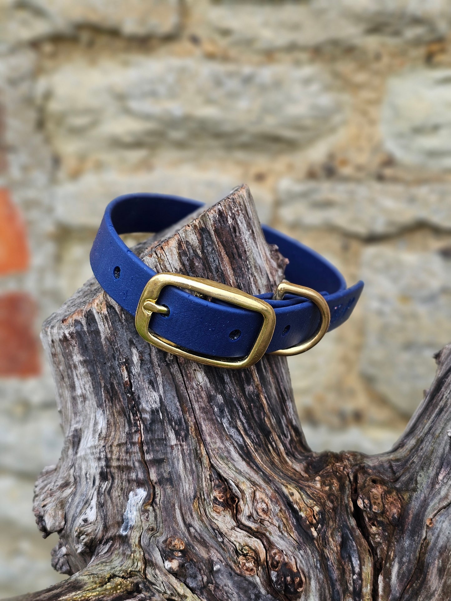 Navy - Everlast Waterproof BioThane© Dog Collar
