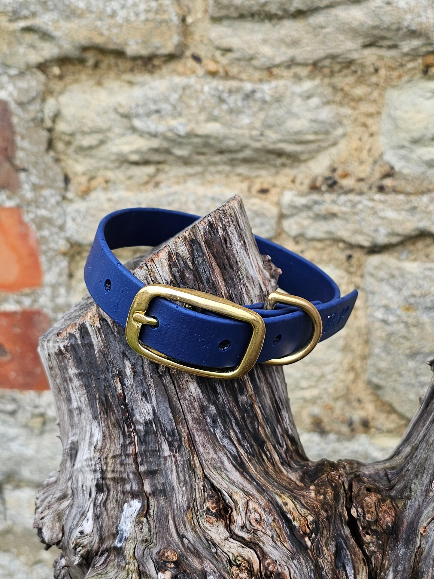Navy - Everlast Waterproof BioThane© Dog Collar