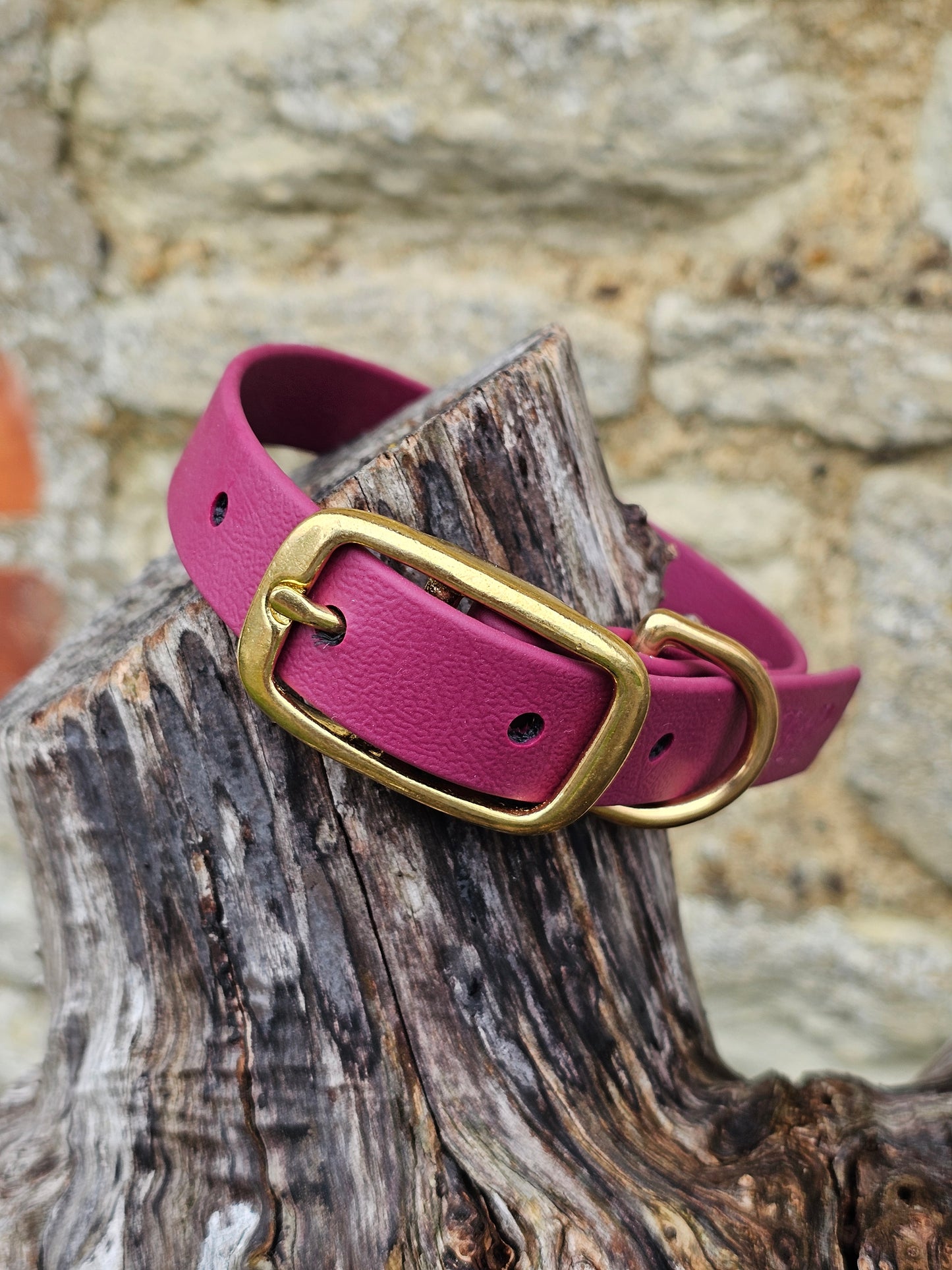 Burgundy - Everlast Waterproof BioThane© Dog Collar