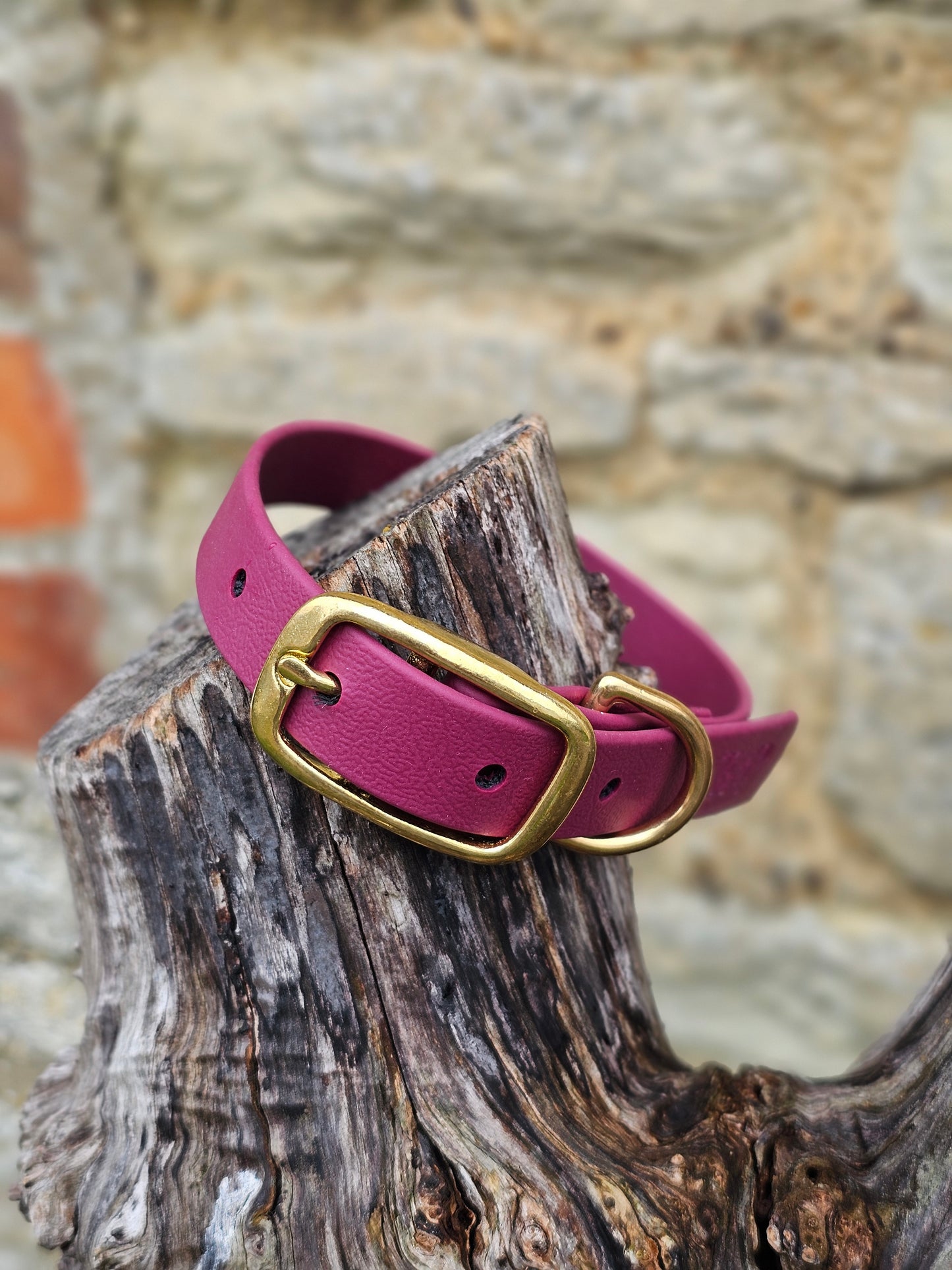 Burgundy - Everlast Waterproof BioThane© Dog Collar