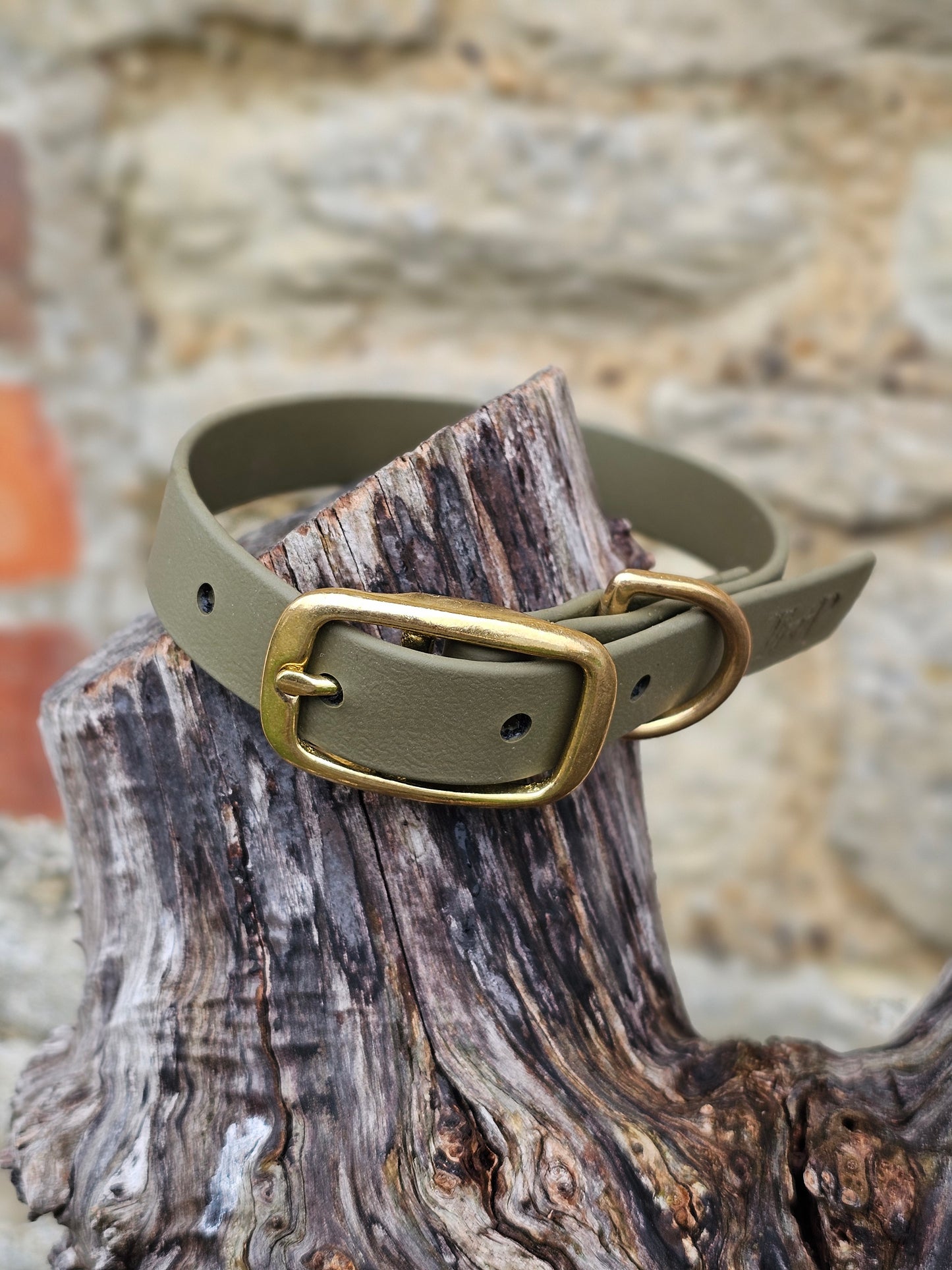 Olive - Everlast Waterproof BioThane© Dog Collar