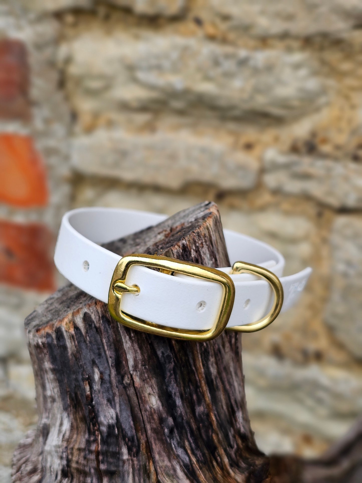 Black - Everlast Waterproof BioThane© Dog Collar