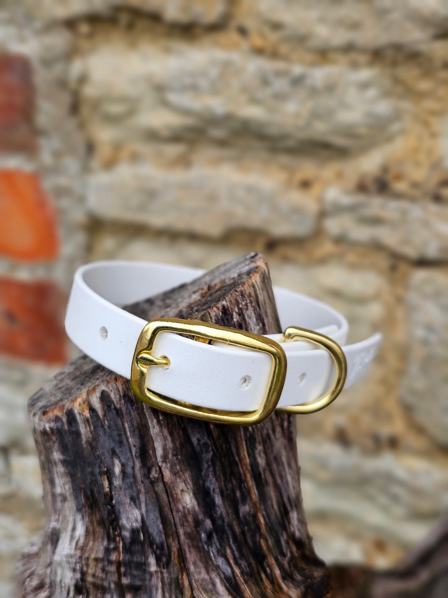 Black - Everlast Waterproof BioThane© Dog Collar