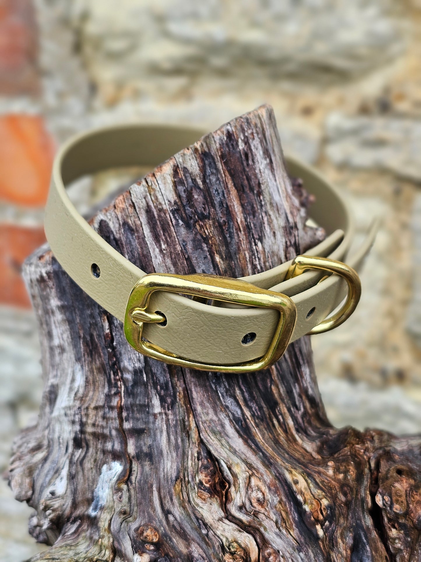 Clay - Everlast Waterproof BioThane© Dog Collar