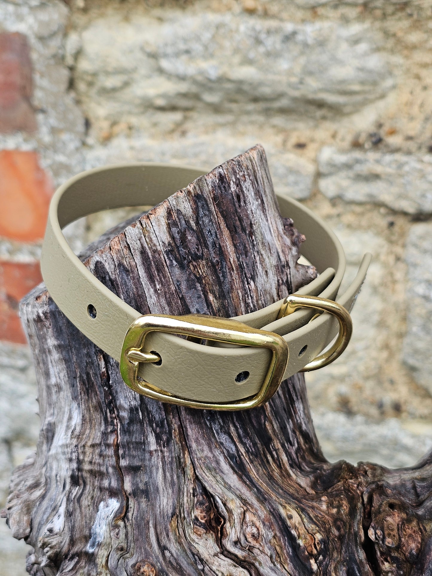 Clay - Everlast Waterproof BioThane© Dog Collar
