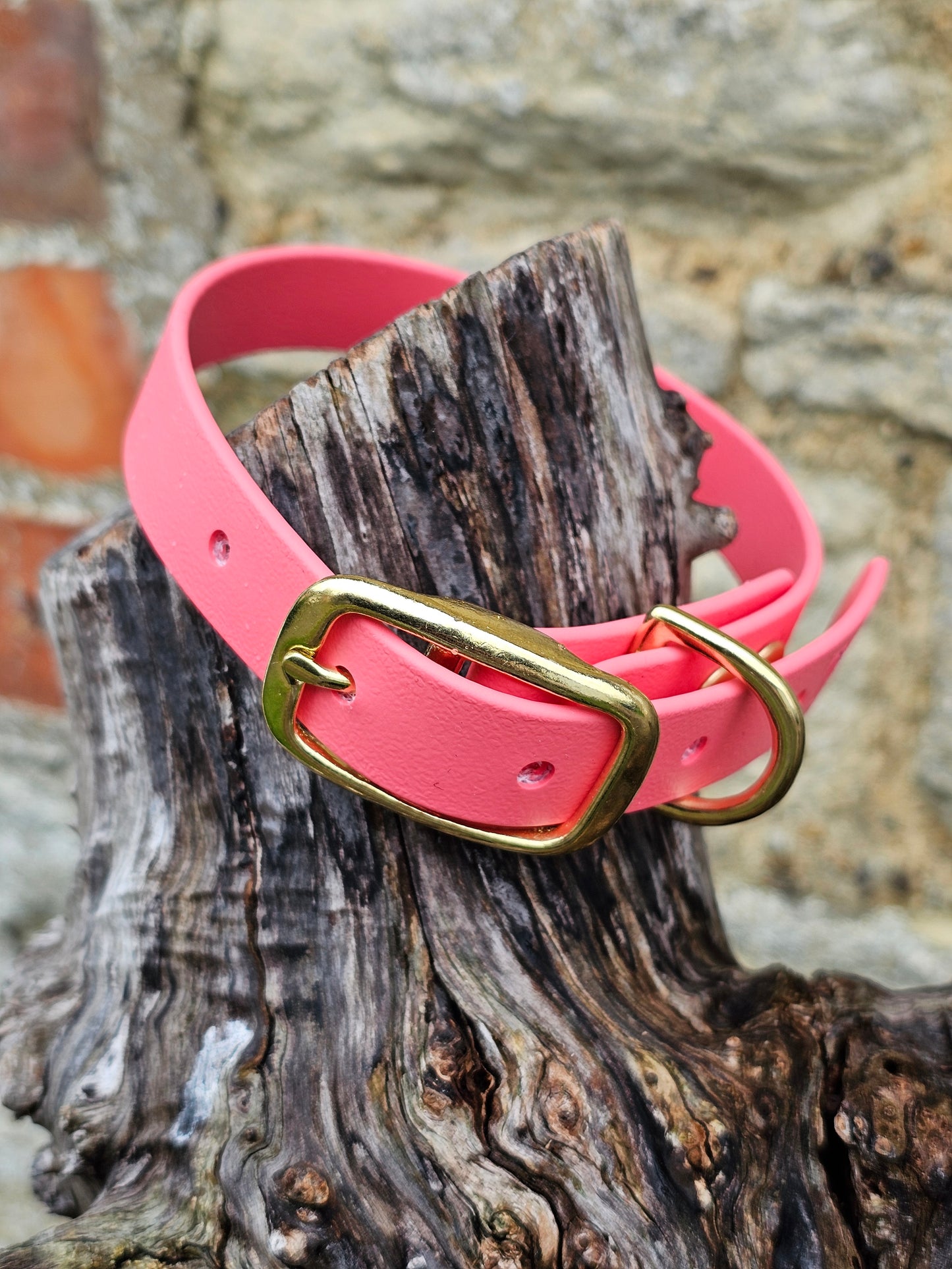 Coral - Everlast Waterproof BioThane© Dog Collar