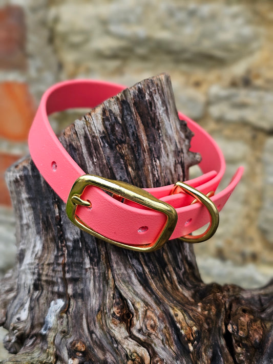 Coral - Everlast Waterproof BioThane© Dog Collar