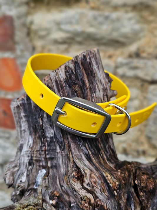 Yellow - Everlast Waterproof BioThane© Dog Collar