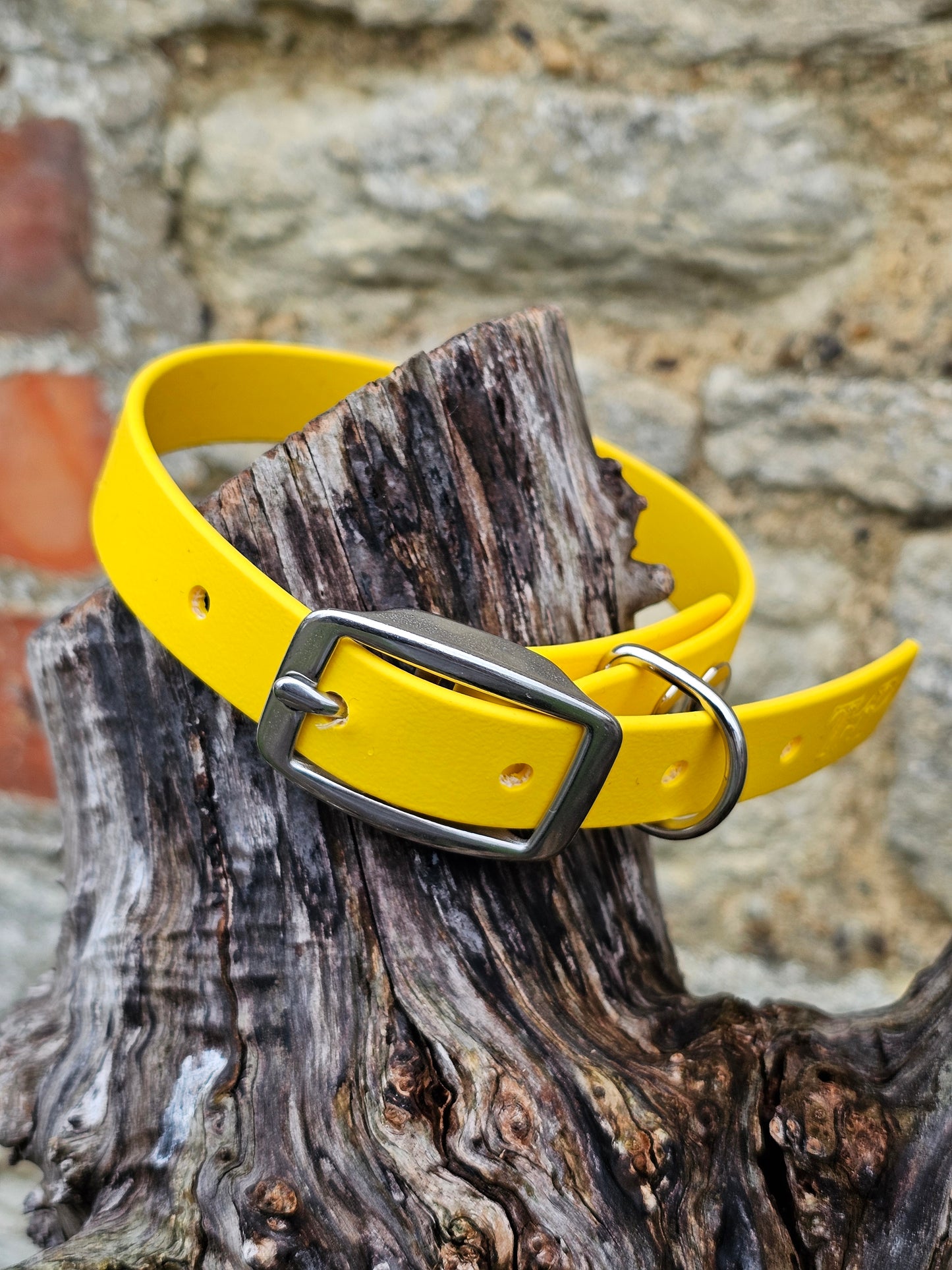 Yellow - Everlast Waterproof BioThane© Dog Collar