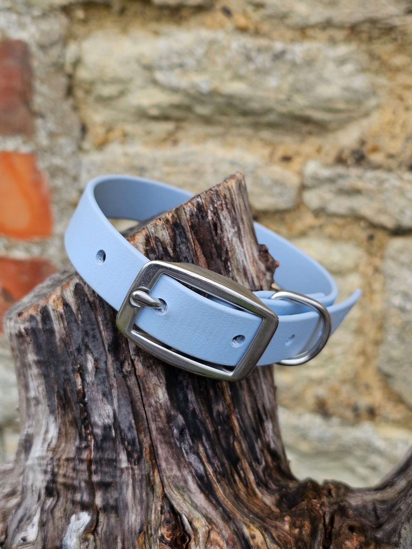 Baby Blue - Everlast Waterproof BioThane© Dog Collar