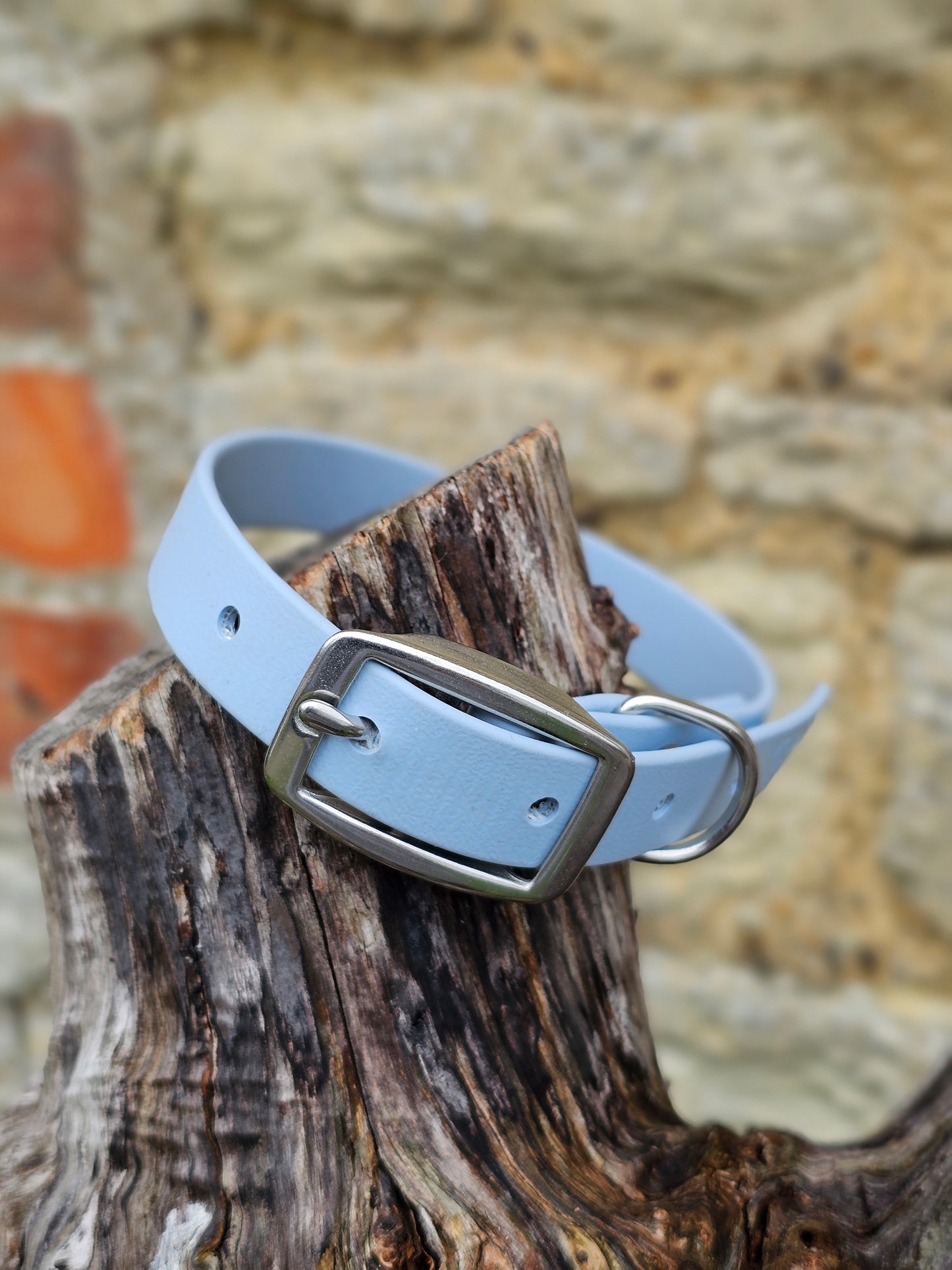 Baby Blue - Everlast Waterproof BioThane© Dog Collar