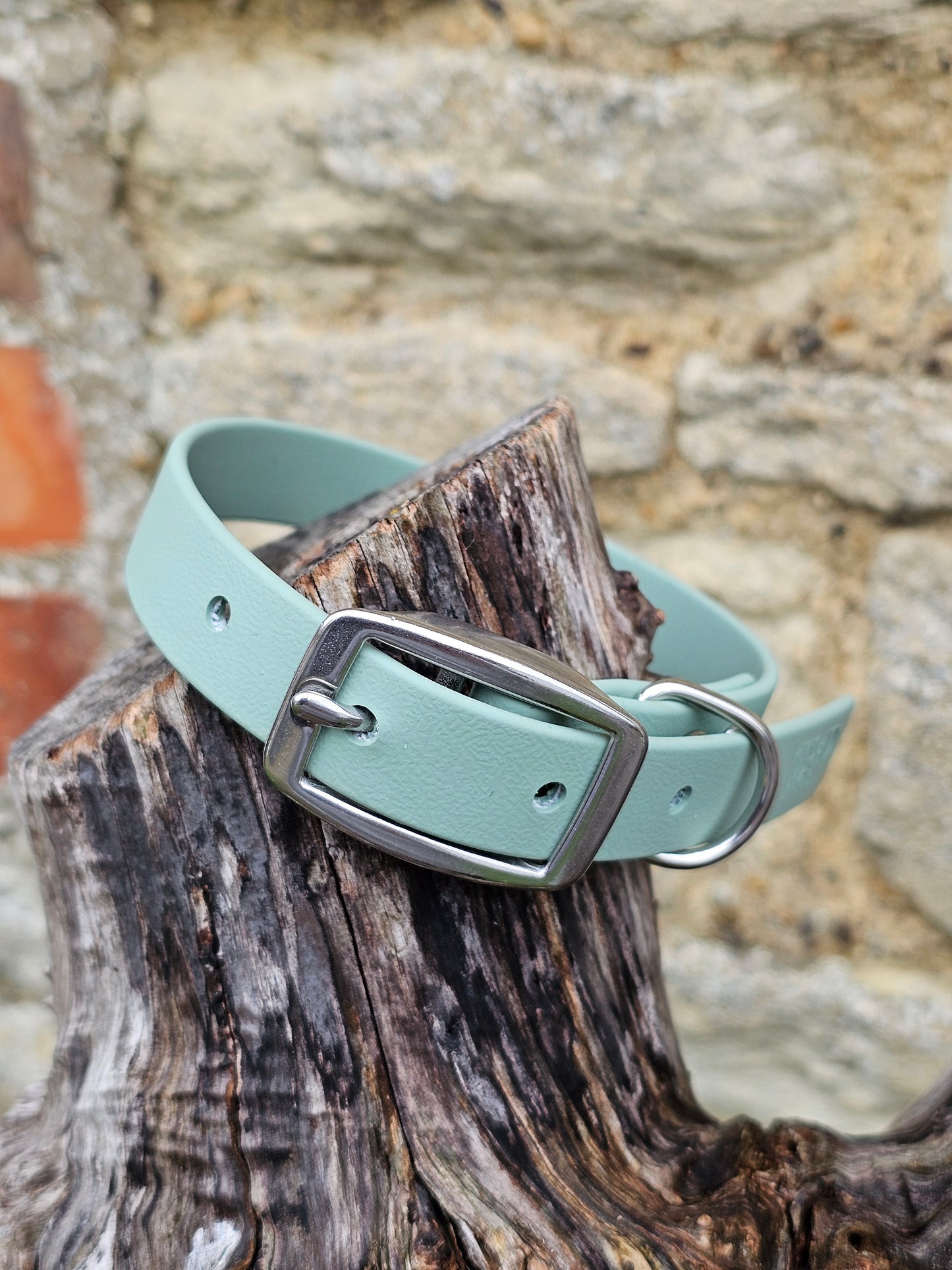 Sage - Everlast Waterproof BioThane© Dog Collar