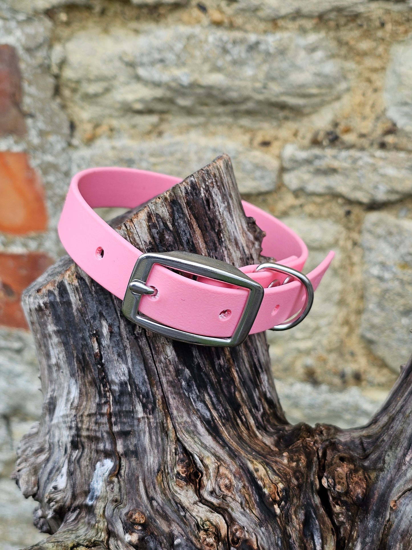 Baby Pink - Everlast Waterproof BioThane© Dog Collar