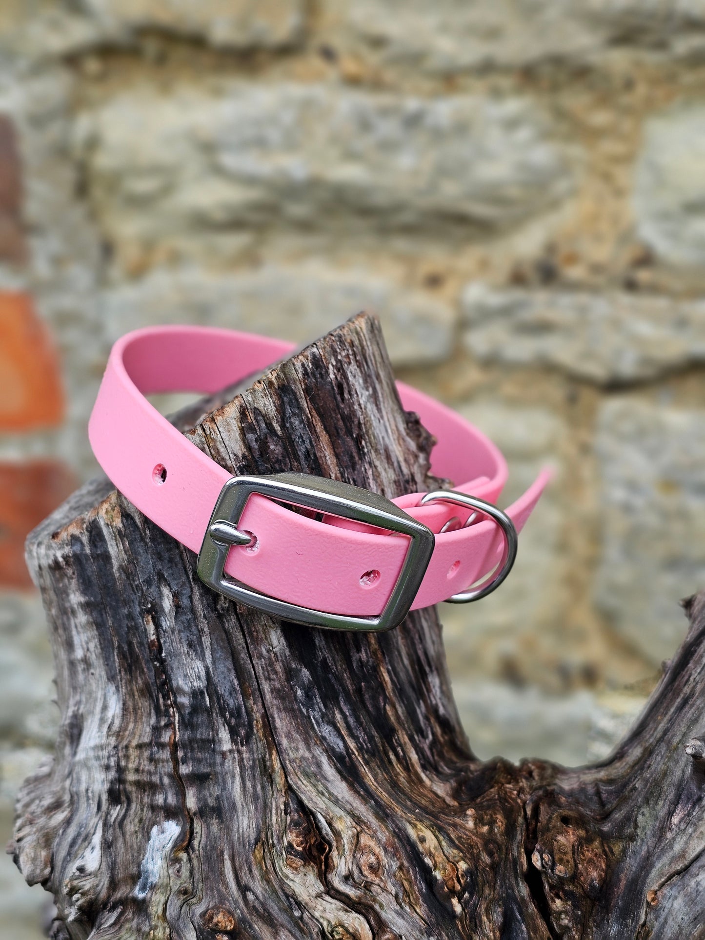 Baby Pink - Everlast Waterproof BioThane© Dog Collar