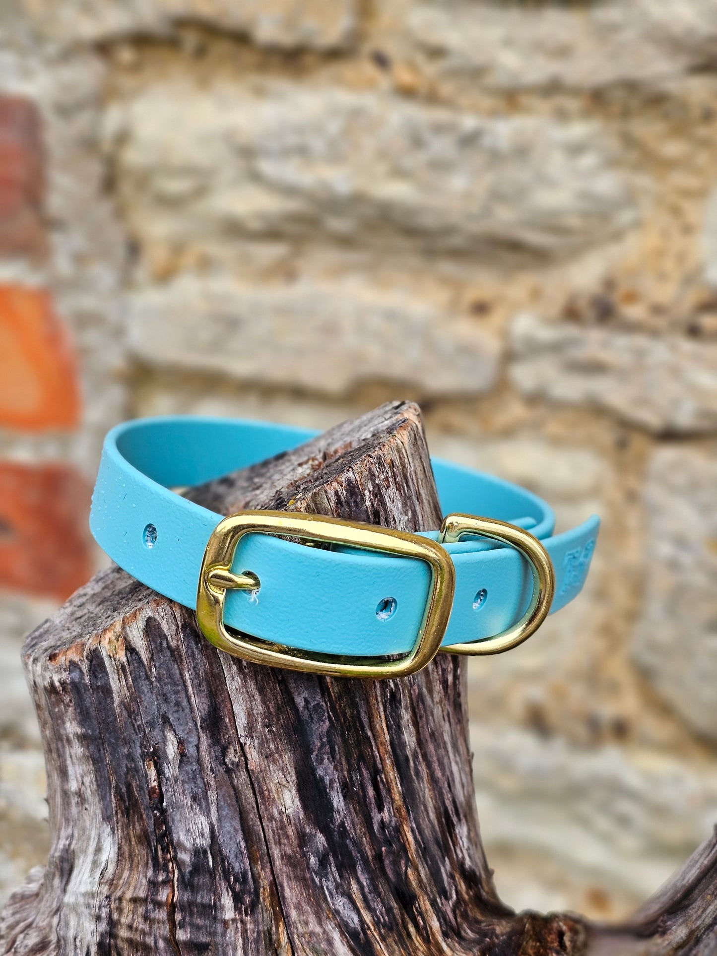 Duckegg - Everlast Waterproof BioThane© Dog Collar