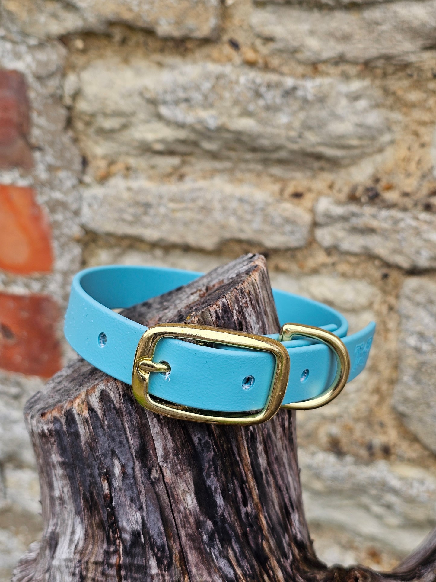 Duckegg - Everlast Waterproof BioThane© Dog Collar