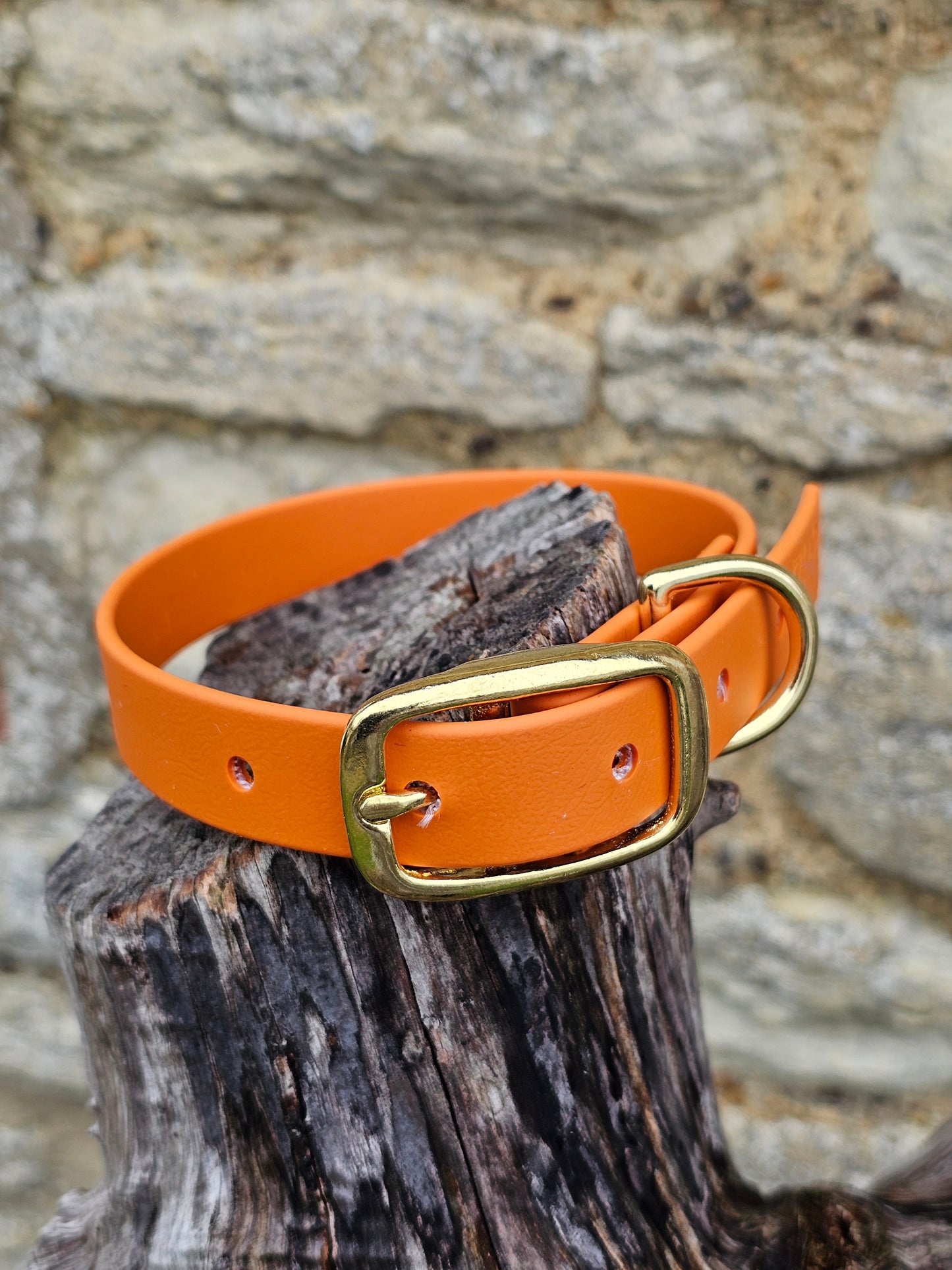 Burnt Orange - Everlast Waterproof BioThane© Dog Collar