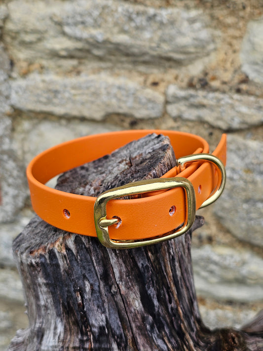 Burnt Orange - Everlast Waterproof BioThane© Dog Collar