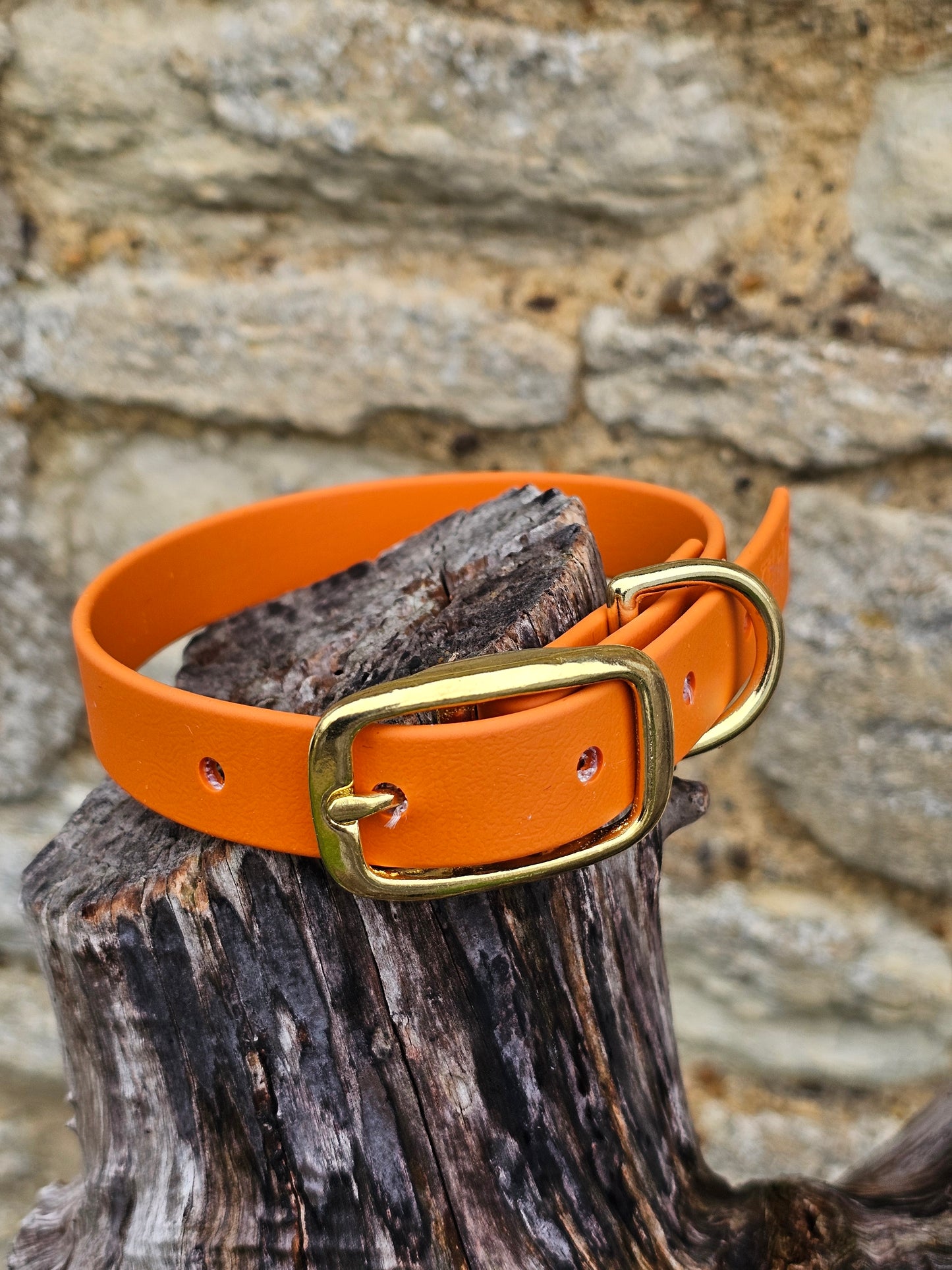 Burnt Orange - Everlast Waterproof BioThane© Dog Collar