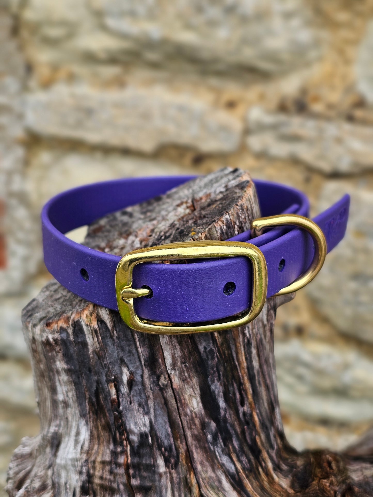 Purple - Everlast Waterproof BioThane© Dog Collar