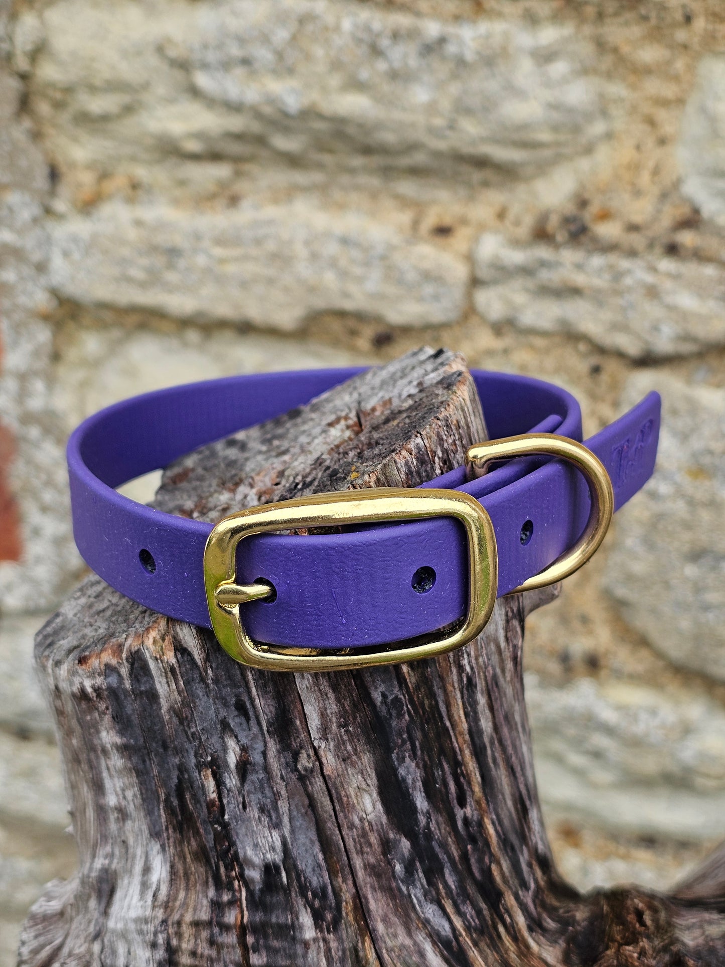 Purple - Everlast Waterproof BioThane© Dog Collar