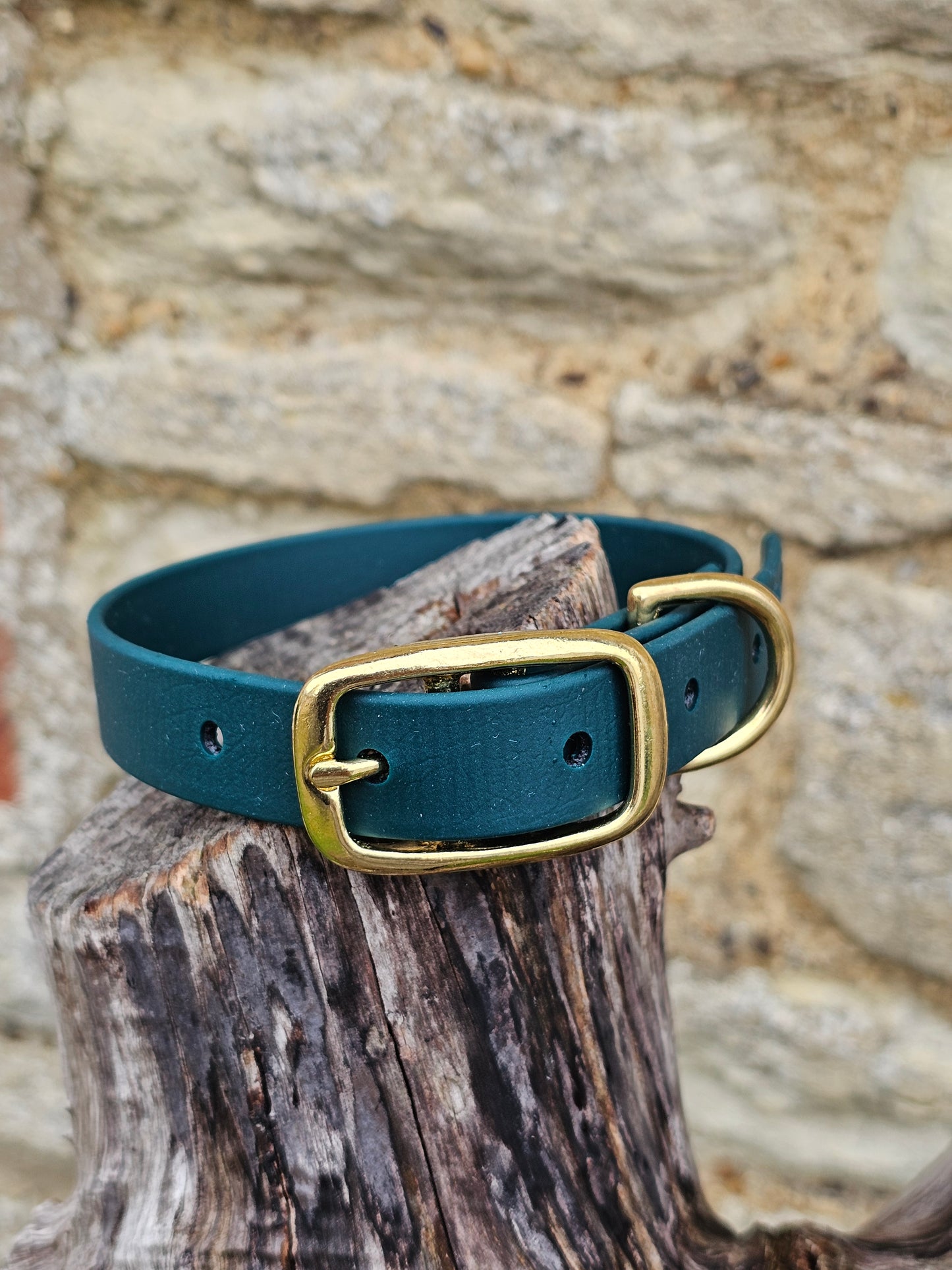 Dark Green - Everlast Waterproof BioThane© Dog Collar