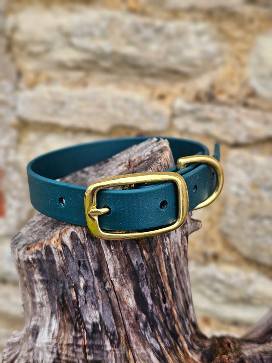 Dark Green - Everlast Waterproof BioThane© Dog Collar