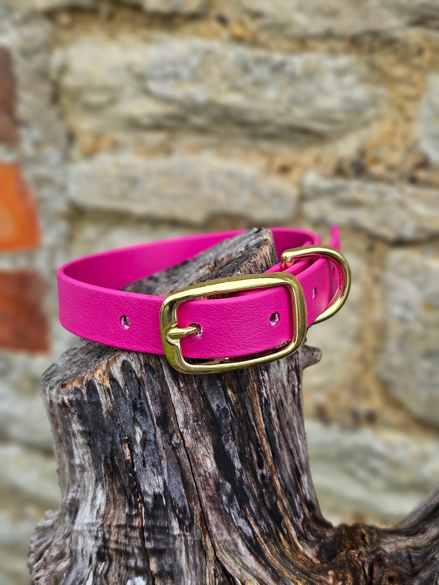 Magenta - Everlast Waterproof BioThane© Dog Collar
