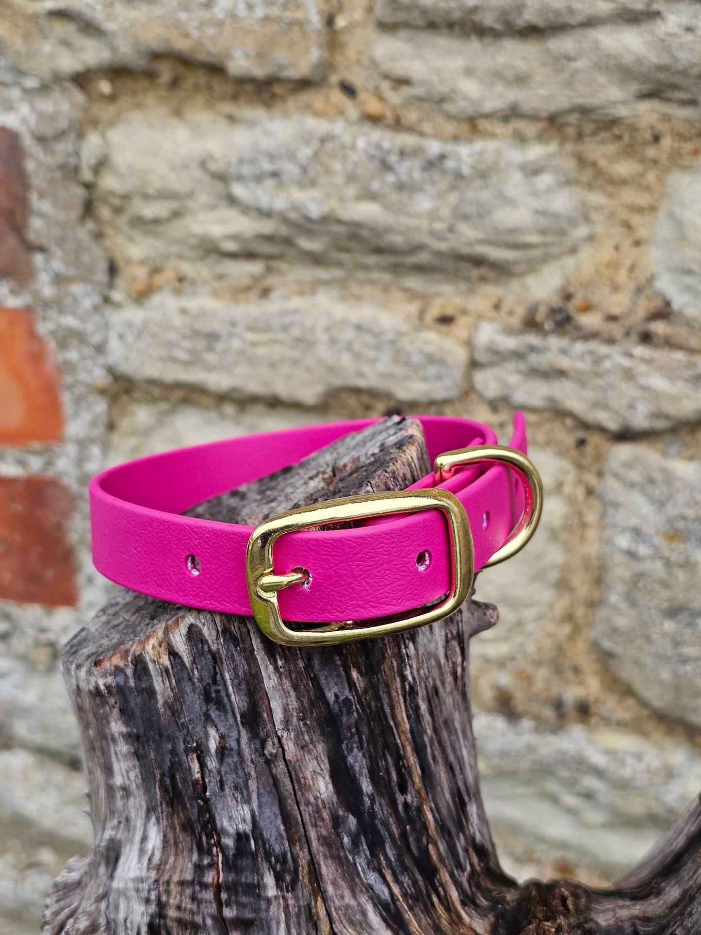 Magenta - Everlast Waterproof BioThane© Dog Collar