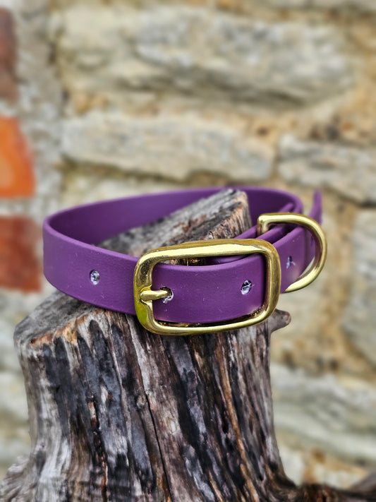 Aubergine - Everlast Waterproof BioThane© Dog Collar