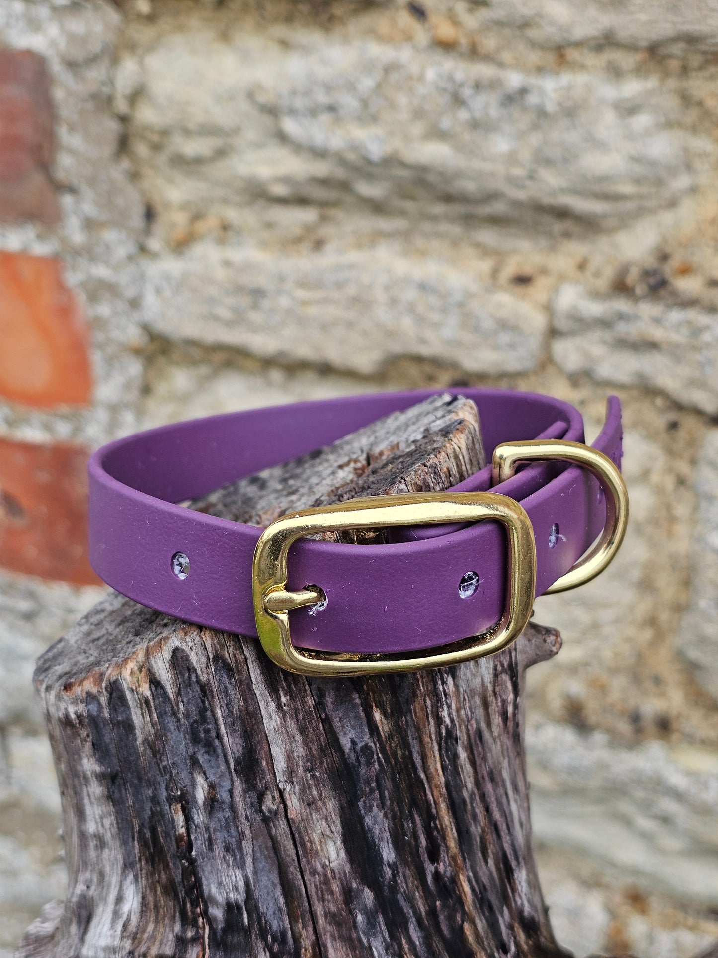 Aubergine - Everlast Waterproof BioThane© Dog Collar