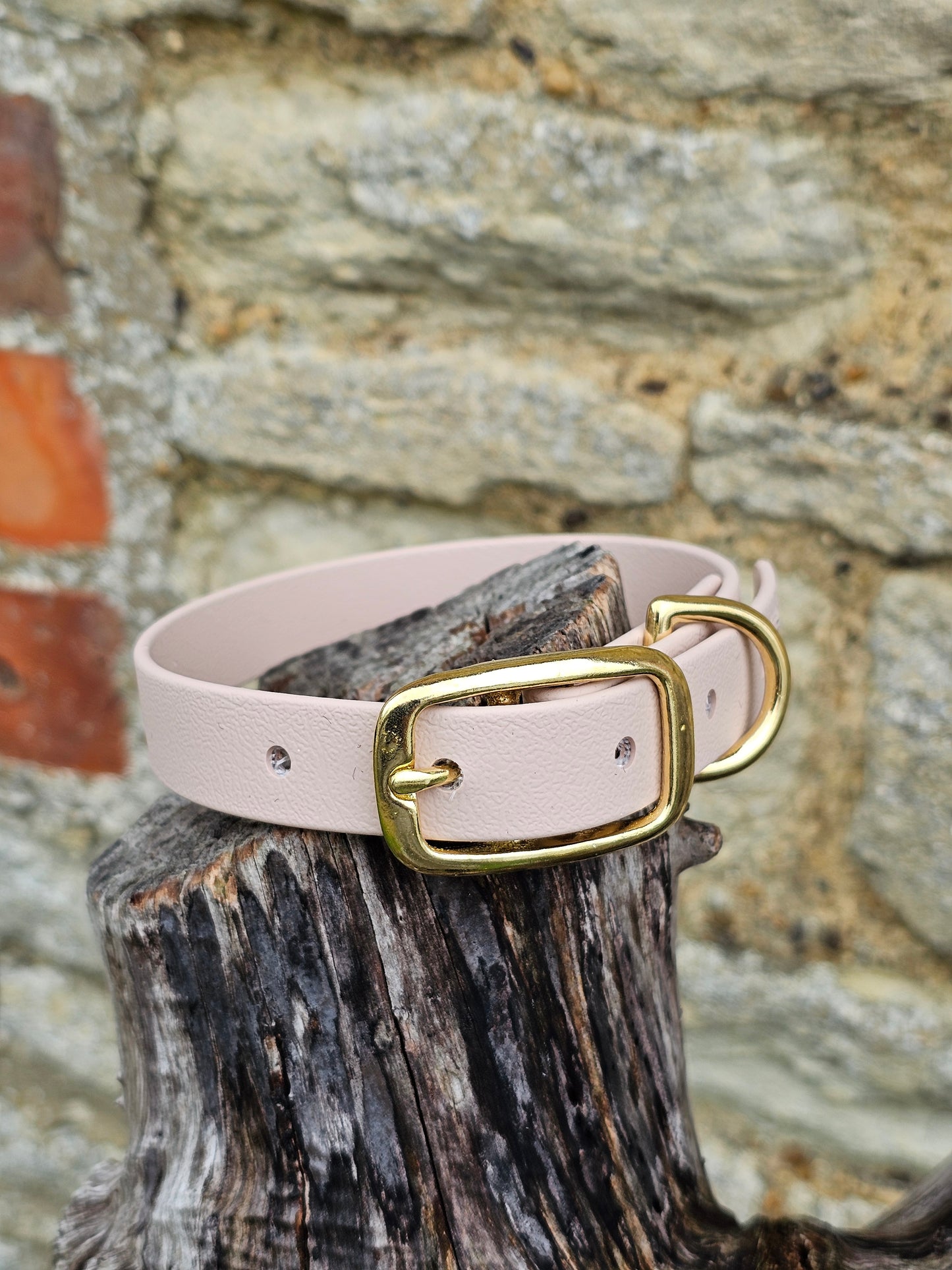 Powder Pearl - Everlast Waterproof BioThane© Dog Collar