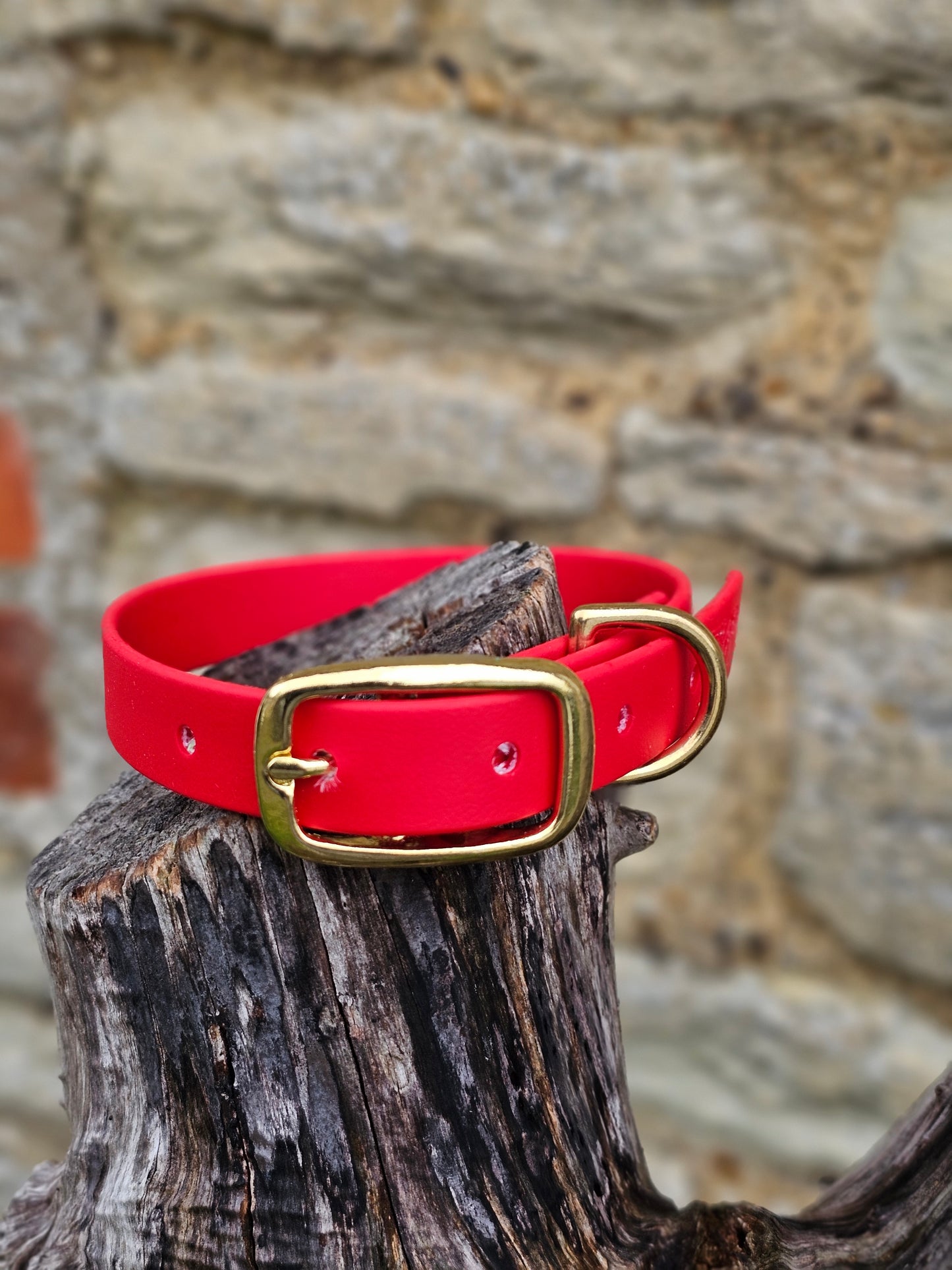 Red - Everlast Waterproof BioThane© Dog Collar