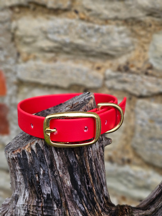 Red - Everlast Waterproof BioThane© Dog Collar